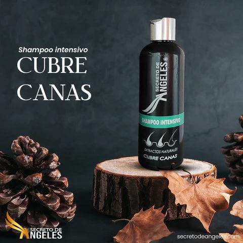 Shampoo Cubrecanas Premium